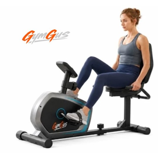 Μαγνητικό Καθιστό Ποδήλατο Γυμναστικής GymGus με οθόνη και μετρητή ταχύτητας απόστασης και θερμίδων καρδιακών παλμών