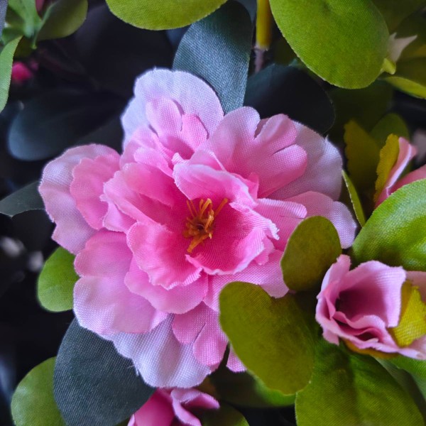 Τεχνητό Φυτό Εξωτερικού Χώρου Azalea με 57 λουλούδια και ύψος 92cm