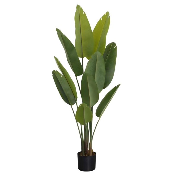 Τεχνητό Φυτό Εξωτερικού Χώρου Το δέντρο του ταξιδιώτη με ύψος 163cm