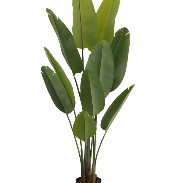 Τεχνητό Φυτό Εξωτερικού Χώρου Το δέντρο του ταξιδιώτη με ύψος 163cm