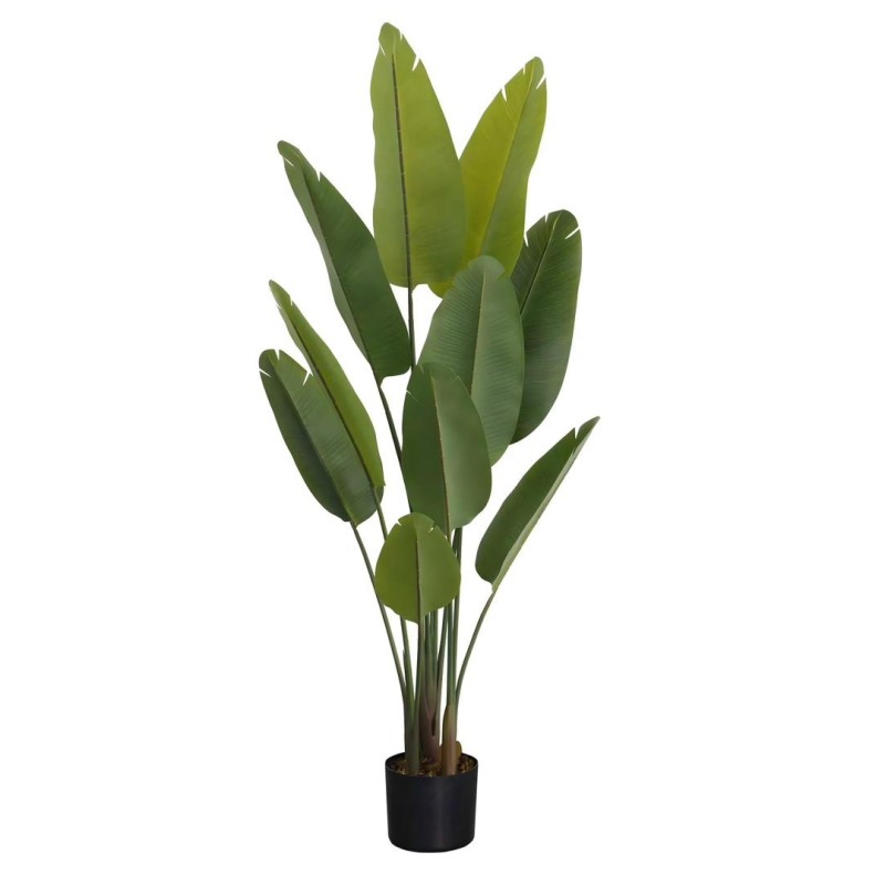 Τεχνητό Φυτό Εξωτερικού Χώρου Το δέντρο του ταξιδιώτη με ύψος 163cm