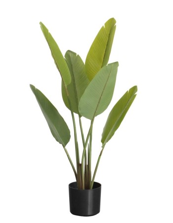 Τεχνητό Φυτό Εξωτερικού Χώρου Το δέντρο του ταξιδιώτη με ύψος 100cm