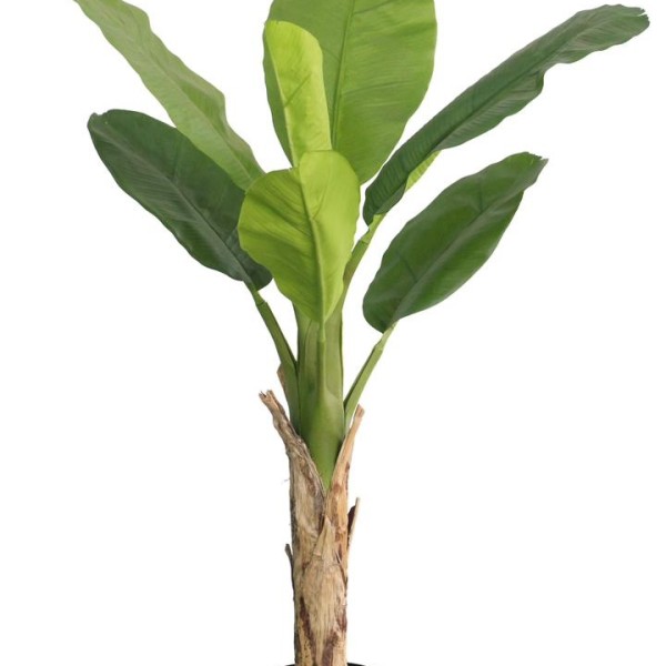 Τεχνητό Φυτό Εξωτερικού Χώρου Μπανανιά με ύψος 130cm