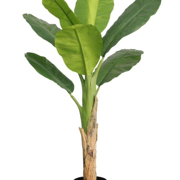 Τεχνητό Φυτό Εξωτερικού Χώρου Μπανανιά με ύψος 150cm