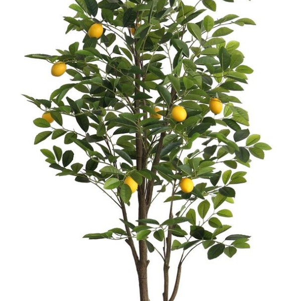 Τεχνητό Φυτό Εξωτερικού Χώρου Λεμονιά με ύψος 152cm