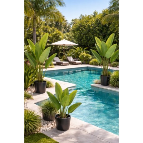 Τεχνητό Φυτό Εξωτερικού Χώρου Το δέντρο του ταξιδιώτη με ύψος 100cm