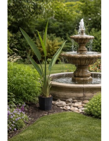 Τεχνητό Φυτό Εξωτερικού Χώρου Strelitzia με ύψος 120cm