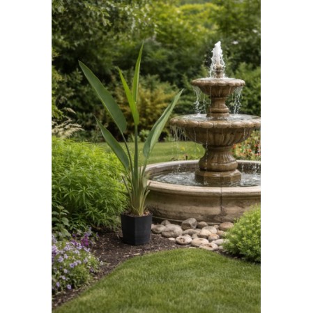 Τεχνητό Φυτό Εξωτερικού Χώρου Strelitzia με ύψος 120cm