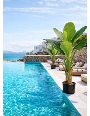 Τεχνητό Φυτό Εξωτερικού Χώρου Μπανανιά με ύψος 150cm