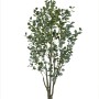 Τεχνητό Φυτό Εξωτερικού Χώρου Ευκάλυπτος με ύψος 210cm
