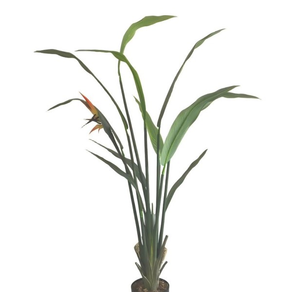 Τεχνητό Φυτό Εξωτερικού Χώρου Strelitzia με ύψος 140cm