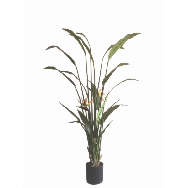 Τεχνητό Φυτό Εξωτερικού Χώρου Strelitzia με ύψος 190cm