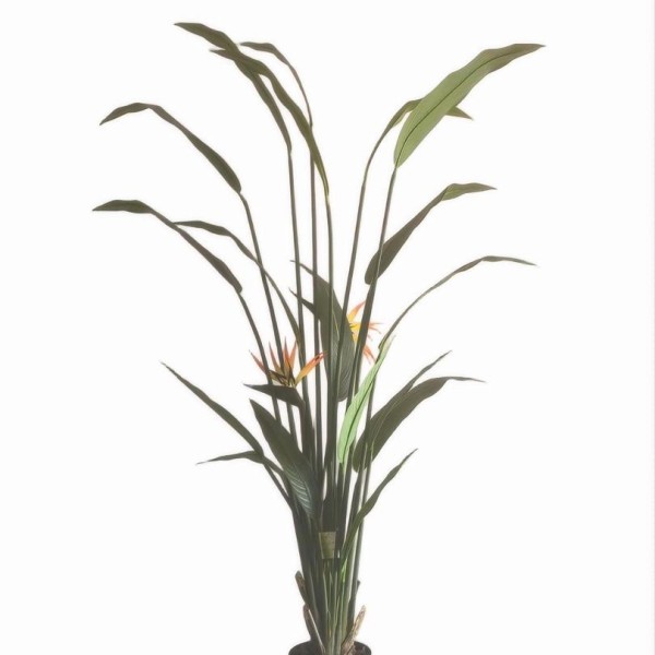Τεχνητό Φυτό Εξωτερικού Χώρου Strelitzia με ύψος 190cm