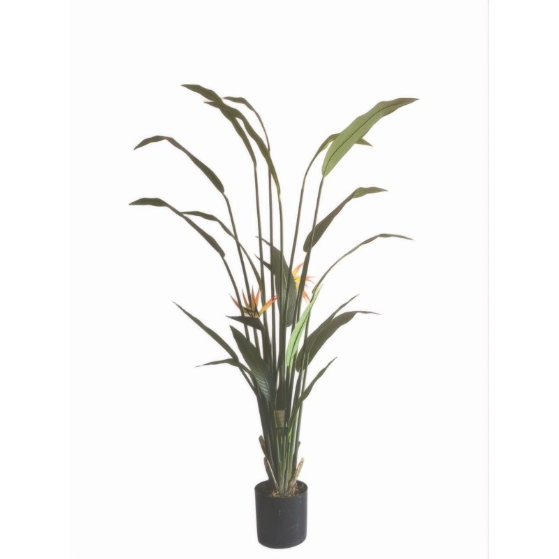 Τεχνητό Φυτό Εξωτερικού Χώρου Strelitzia με ύψος 190cm