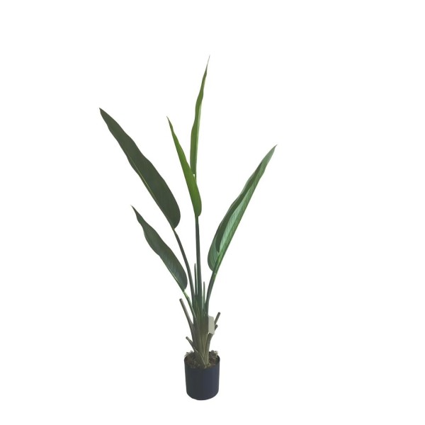 Τεχνητό Φυτό Εξωτερικού Χώρου Strelitzia με ύψος 120cm