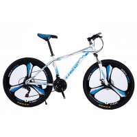 Bicycle Mountain E FRIEND XC310 GT 26 inches in White Blue