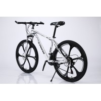 Bicycle Mountain E FRIEND XC310 26 inches in White Black 