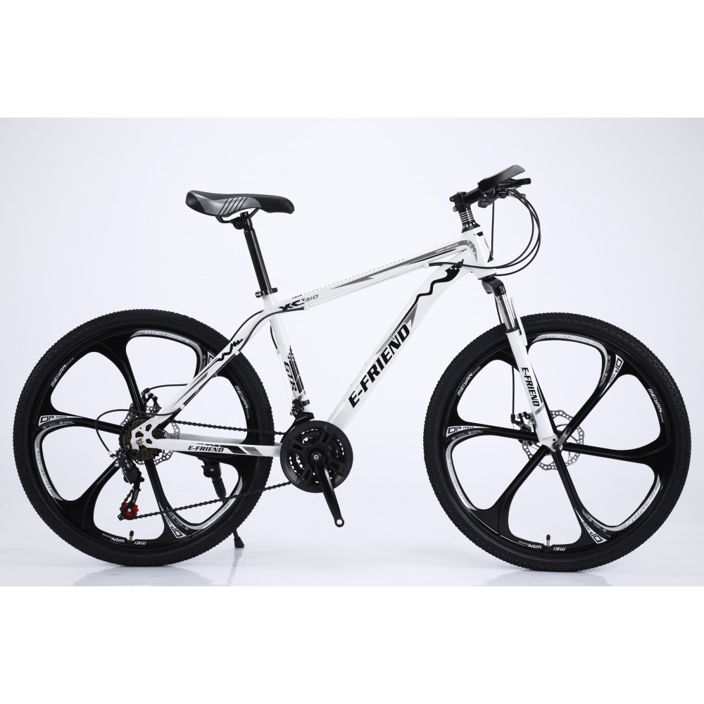 Bicycle Mountain E FRIEND XC310 26 inches in White Black 