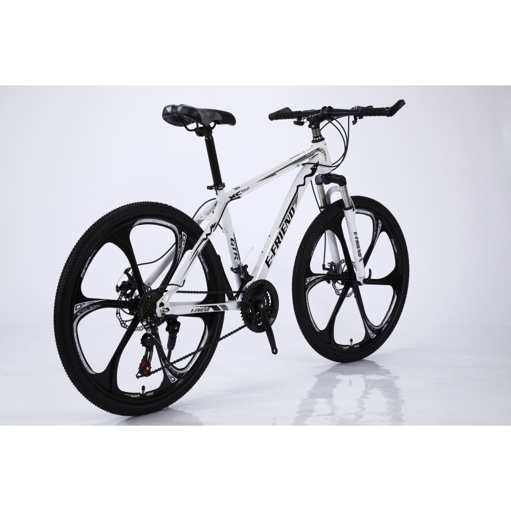 Bicycle Mountain E FRIEND XC310 26 inches in White Black 