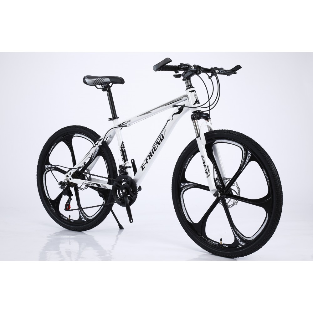 Bicycle Mountain E FRIEND XC310 26 inches in White Black 