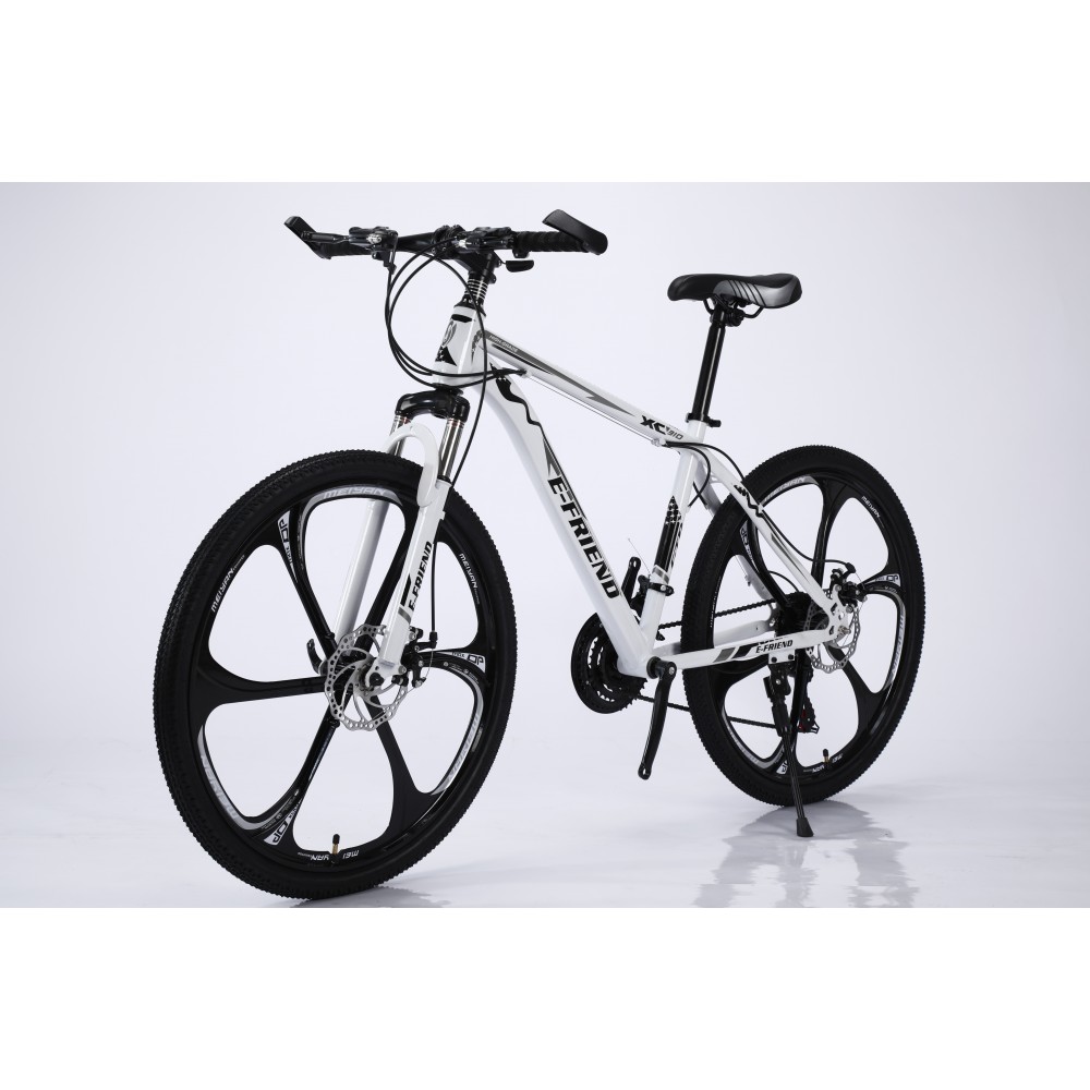 Bicycle Mountain E FRIEND XC310 26 inches in White Black 