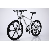 Bicycle Mountain E FRIEND XC310 26 inches in White Black 