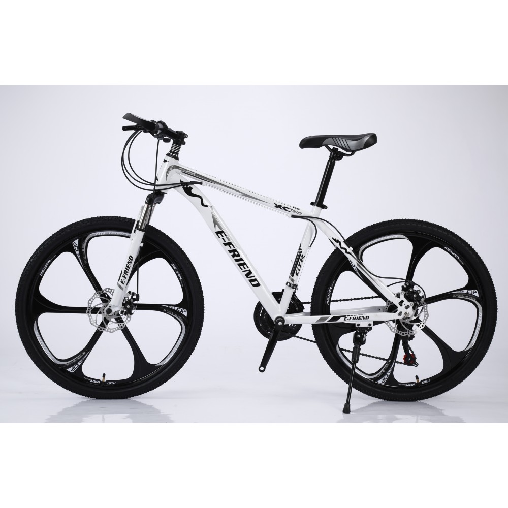 Bicycle Mountain E FRIEND XC310 26 inches in White Black 